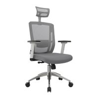 Silla Ergonómica Reclinable Delphi II Be Presidente Gris Ofideas