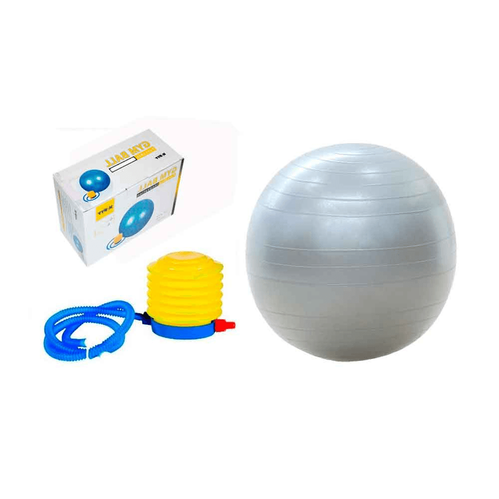 Fitball Gym Ever Best Pelota para Yoga Plomo 65 cm