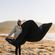 imageUrl_6