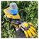 imageUrl_5