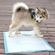 imageUrl_2