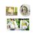 imageUrl_8