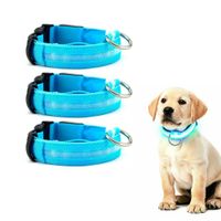 PACK X3 COLLAR LED PARA MASCOTA CELESTE TALLA XS