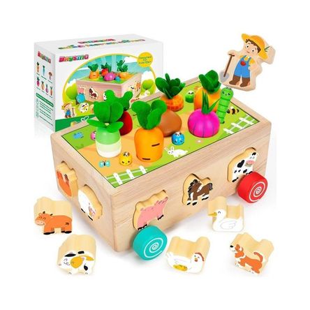 imageUrl_1 imageUrl_1