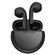 imageUrl_4