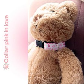 imageUrl_1