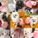 imageUrl_4