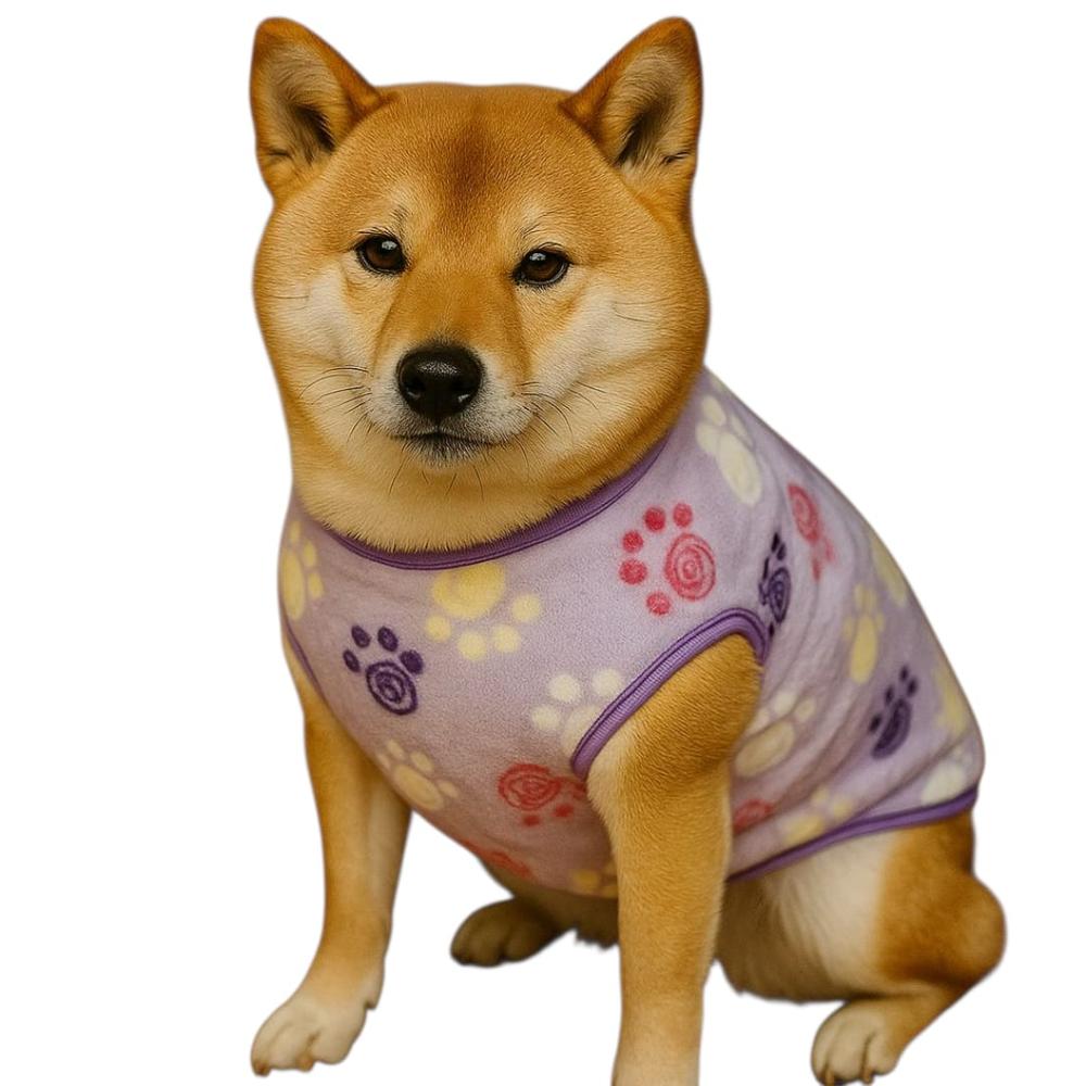 imageUrl_1 imageUrl_1