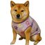 imageUrl_1