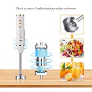  Batidora y licuadora de inmersión Raf 4 en 1