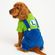imageUrl_1