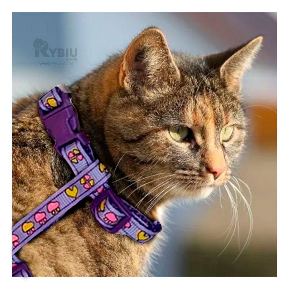 Arnes Comodo y Delgado para Conejo en Tono Lila Y+Stickers Arnes Comodo y Delgado para Conejo en Tono Lila Y+Stickers