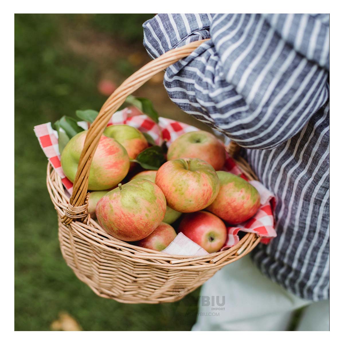 Canasta de Mimbre para Cocina en Marron Y+Papel de Regalo
