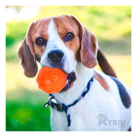 Pelota Suave con Relieve en Color Anaranjado Y+Agendita