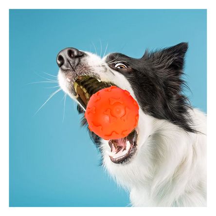 Pelota Limpia Encias para Perro en Anaranjado Y+Stickers