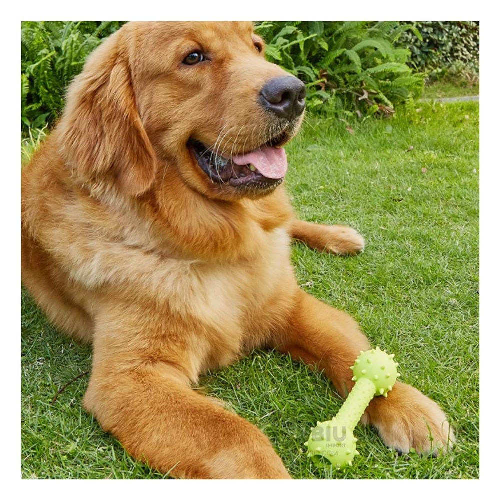 Juguete Didactico en Verde Amarillento Y+Papel de Regalo Juguete Didactico en Verde Amarillento Y+Papel de Regalo