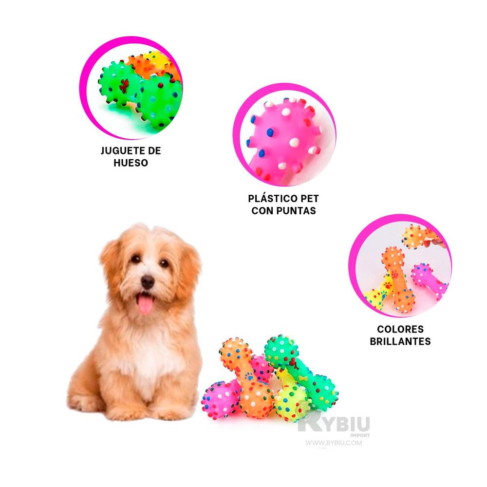 Juguete en Forma Hueso para Perros en Multicolor Y+Stickers Juguete en Forma Hueso para Perros en Multicolor Y+Stickers