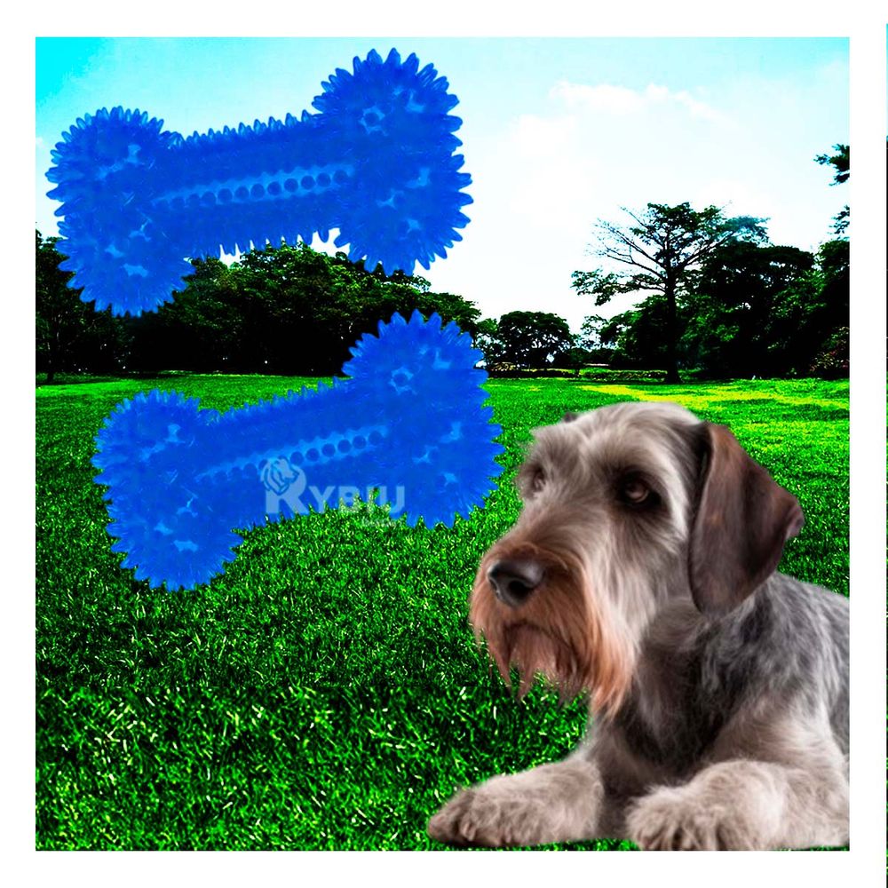 Set Juguetes de Huesos en Azul Y+Agendita Set Juguetes de Huesos en Azul Y+Agendita
