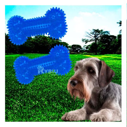 Set Juguetes de Huesos en Azul Y+Agendita Set Juguetes de Huesos en Azul Y+Agendita