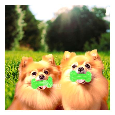 Set de Juego para Can en Color Verde Y+Stickers Set de Juego para Can en Color Verde Y+Stickers