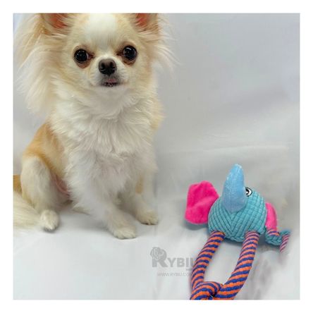Peluche Didactico y Moderno en Modelo Elefante Y+Stickers