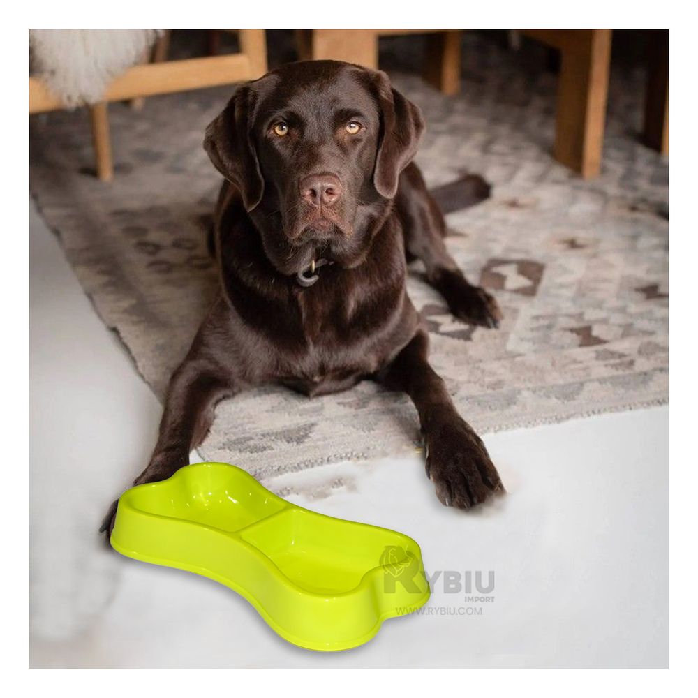 Plato Resistente para Pet Doble Verde Y+Papel de Regalo Plato Resistente para Pet Doble Verde Y+Papel de Regalo