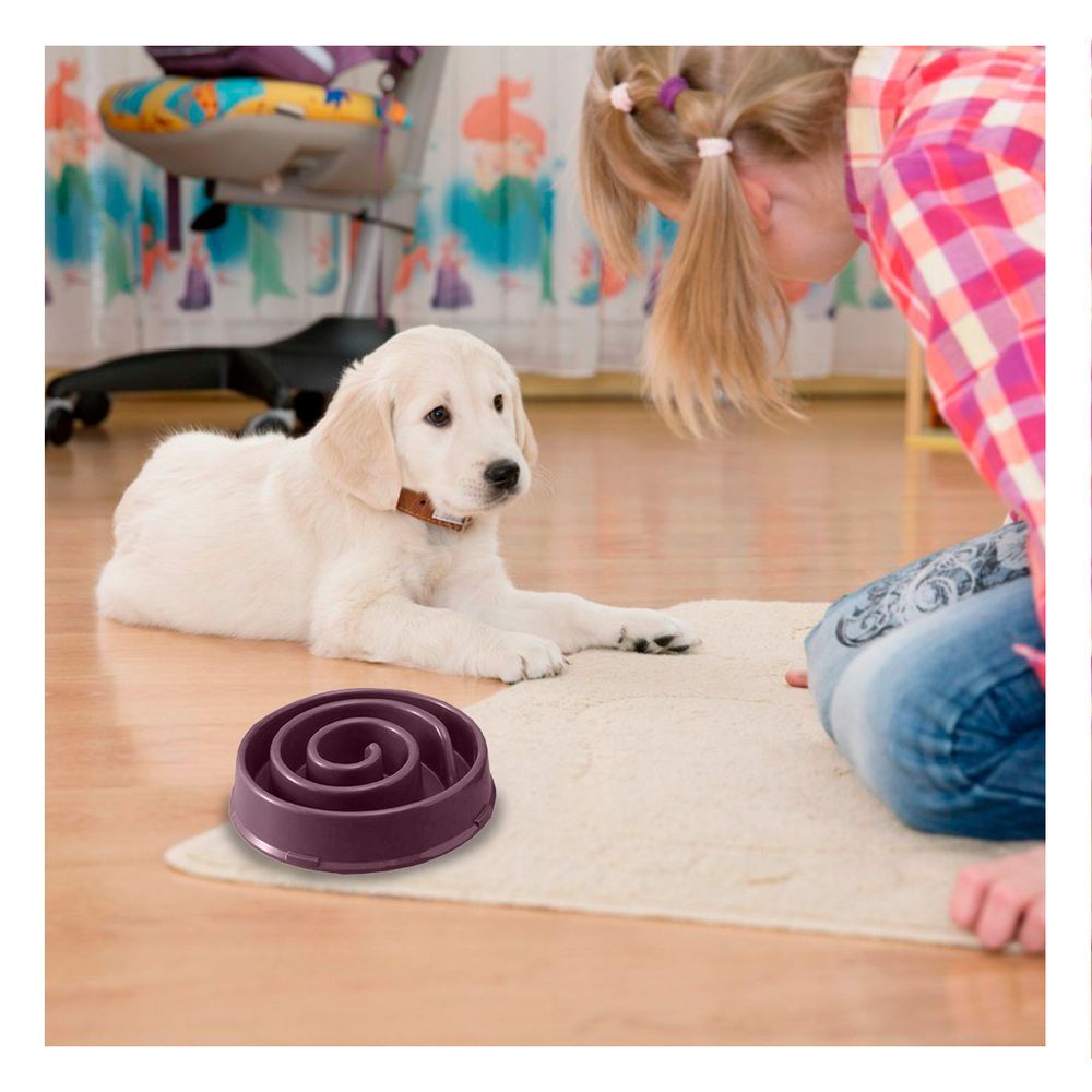 Plato Duradero de Espiral en Color Guinda Y+Stickers Plato Duradero de Espiral en Color Guinda Y+Stickers