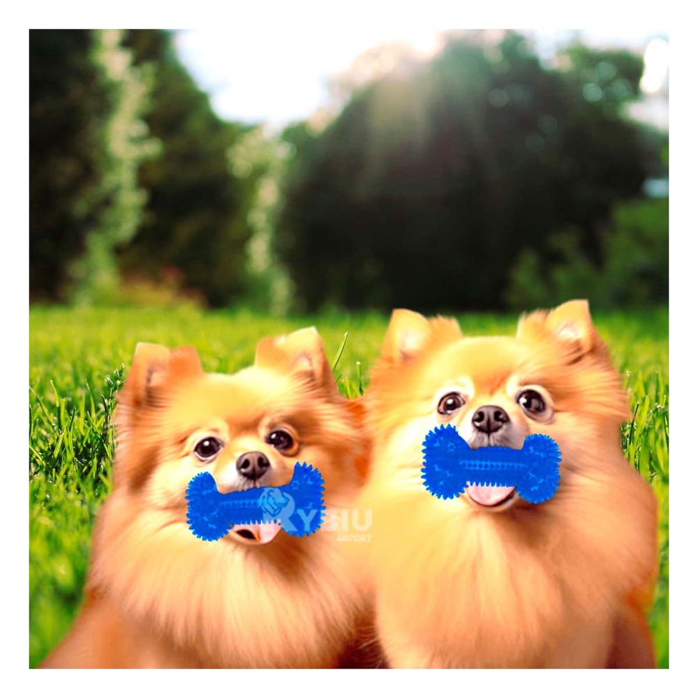 Set Resistente de Huesos con Luz Azul Y+Stickers Set Resistente de Huesos con Luz Azul Y+Stickers