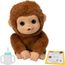 imageUrl_1