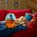 imageUrl_3