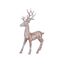imageUrl_1