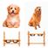 imageUrl_2