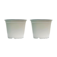 Pack 2 Macetas Basica Blanca 14cm Green Supply