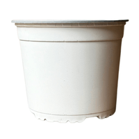 Maceta Basica Blanca 16.5cm Green Supply