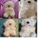 imageUrl_6