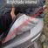 imageUrl_6