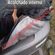 imageUrl_2