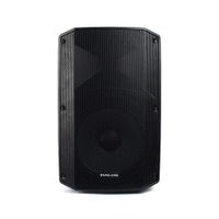 PARLANTE ACTIVO HALION PHA-15V-DSP 15? PROFESIONAL  AC/DC