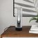 imageUrl_4