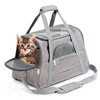 Maletín Transportador Para Cabina De Avión Gris