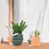 imageUrl_4