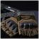 imageUrl_3