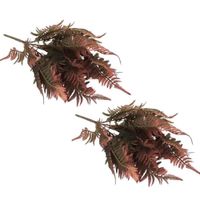 Pack de 2 Bouquets De Helecho Otoñal Sy05351-2 FLORIPASTORE