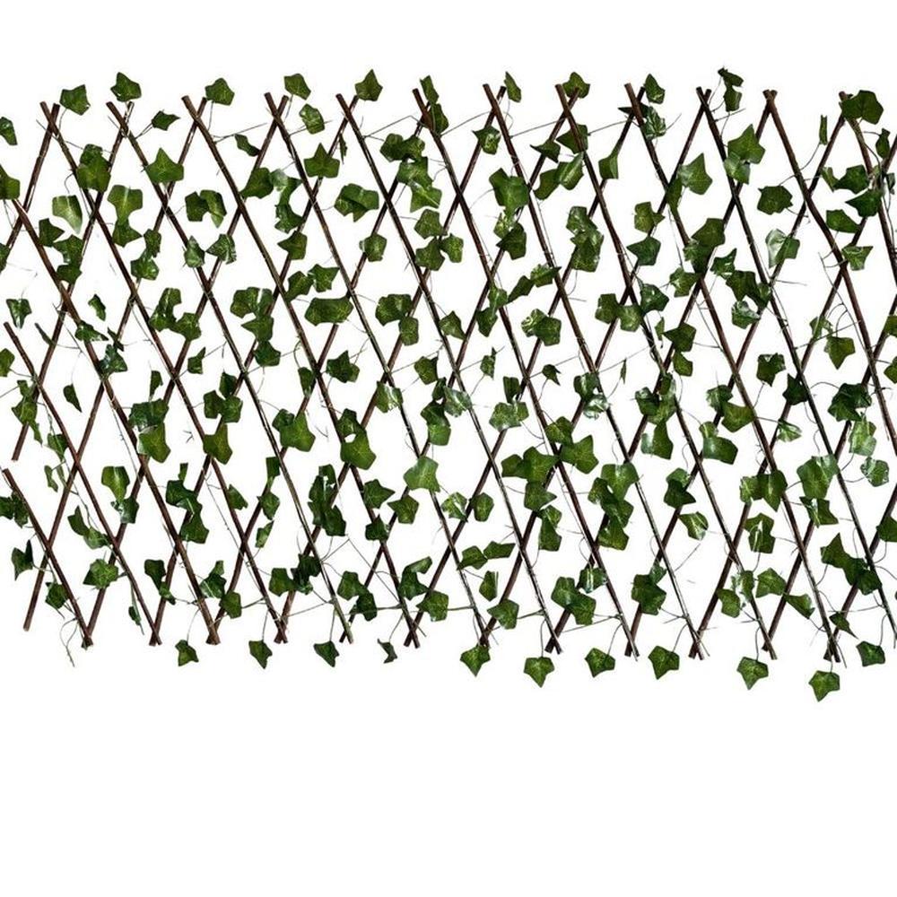 imageUrl_1 imageUrl_1