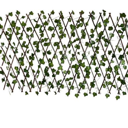 imageUrl_1 imageUrl_1