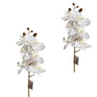 Vara de orquidea de silicona de 68cm FLORIPASTORE