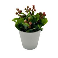 Arreglo de Mora de 15cm 00144-RJ FLORIPASTORE