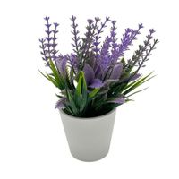 Arreglo de Lavanda de 20cm 00135-B FLORIPASTORE