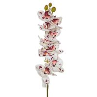 Orquidea Artificial 8041-SIL FLORIPA