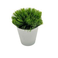 Arreglo de Pino de 15cm 00133-A FLORIPASTORE